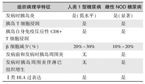 表5 1型糖尿病患者与雌性NOD糖尿病小鼠的表型差异.jpg